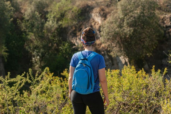 ¿Cómo elegir el mejor tipo de césped para un jardín con sombra parcial?