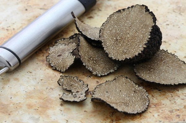 Quel est le prix du kilo de truffes : guide complet par variété